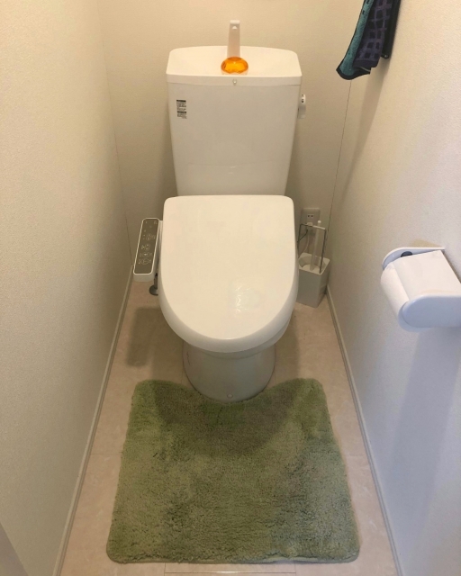 トイレの風水は方角や色に注意 造花や観葉植物 スリッパで21年の運気アップを ラメさんの風水のお部屋