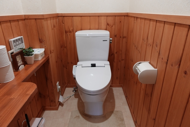 トイレの風水は方角や色に注意 造花や観葉植物 スリッパで運気アップ 22年版 ラメさんの風水のお部屋